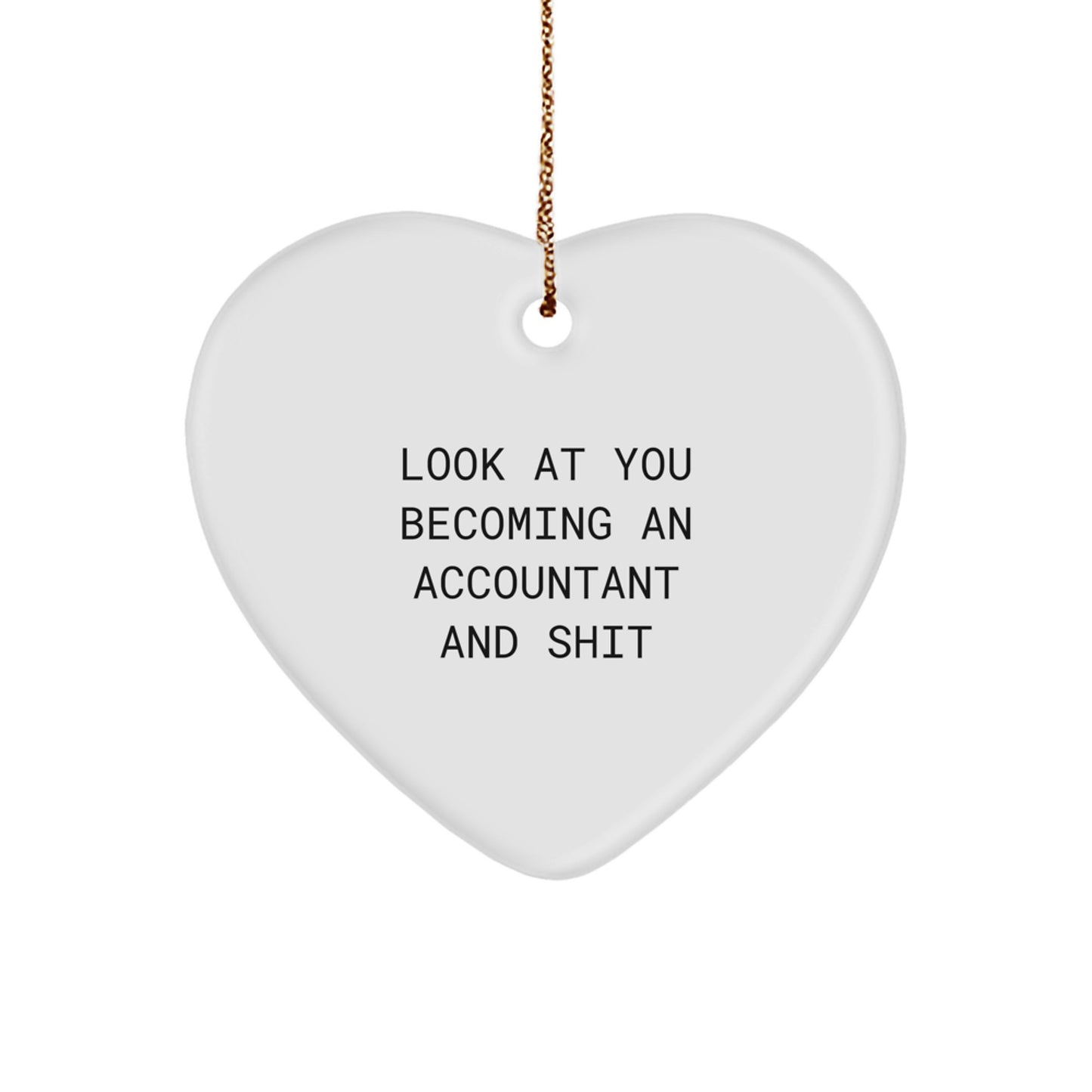 Funny Accountant Heart Ornament Gifts from Friends to Accountant Coworkers and Family, Inspirational Quote for Christmas Unique Gifts - Image 1