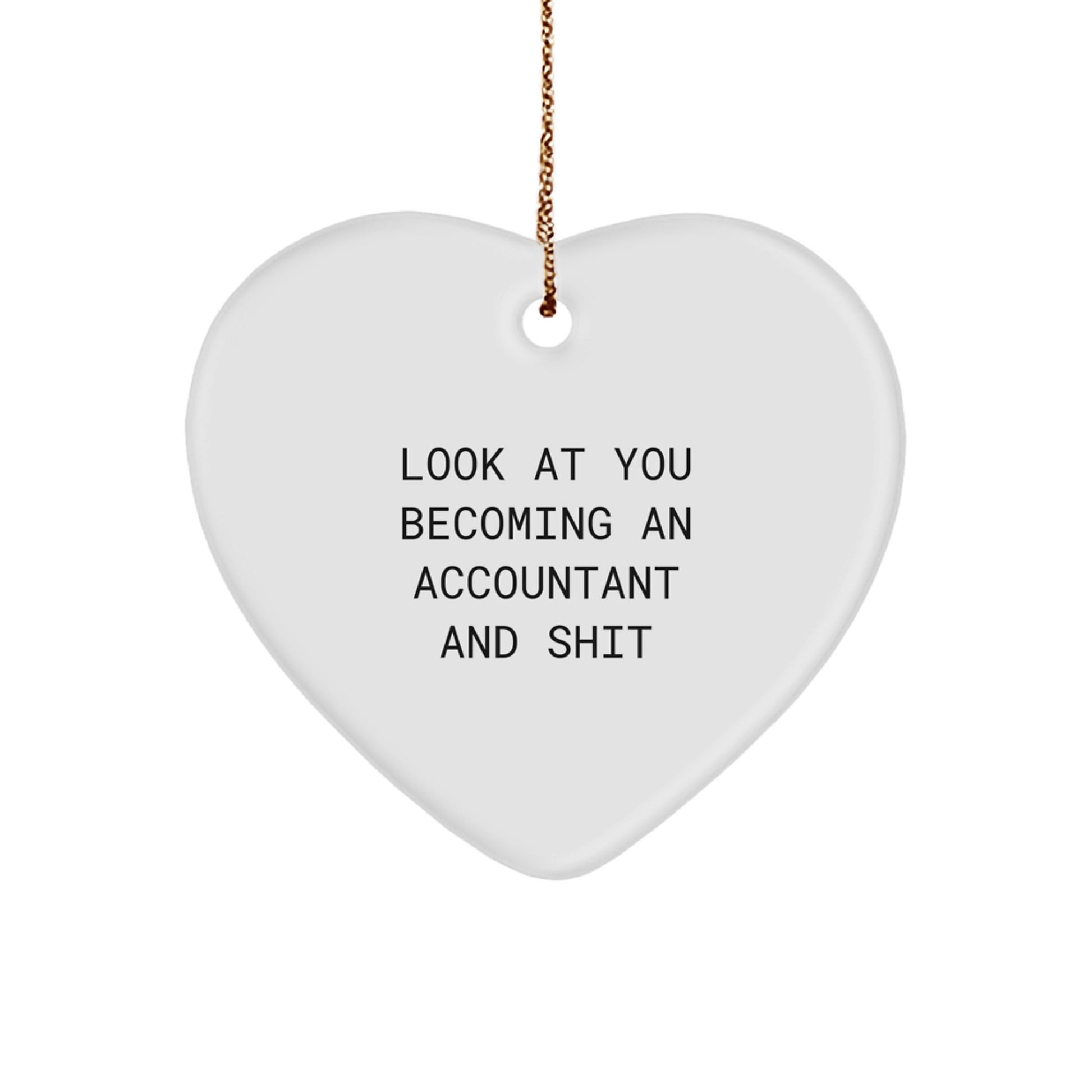 Funny Accountant Heart Ornament Gifts from Friends to Accountant Coworkers and Family, Inspirational Quote for Christmas Unique Gifts - Image 1