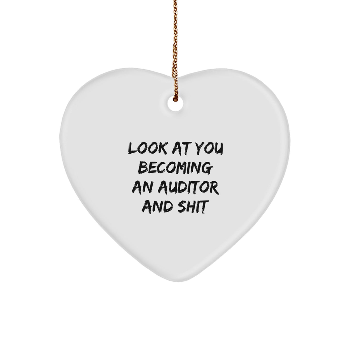Funny Auditor Gifts from Friends for Auditor Christmas Unique Ornaments - Image 1