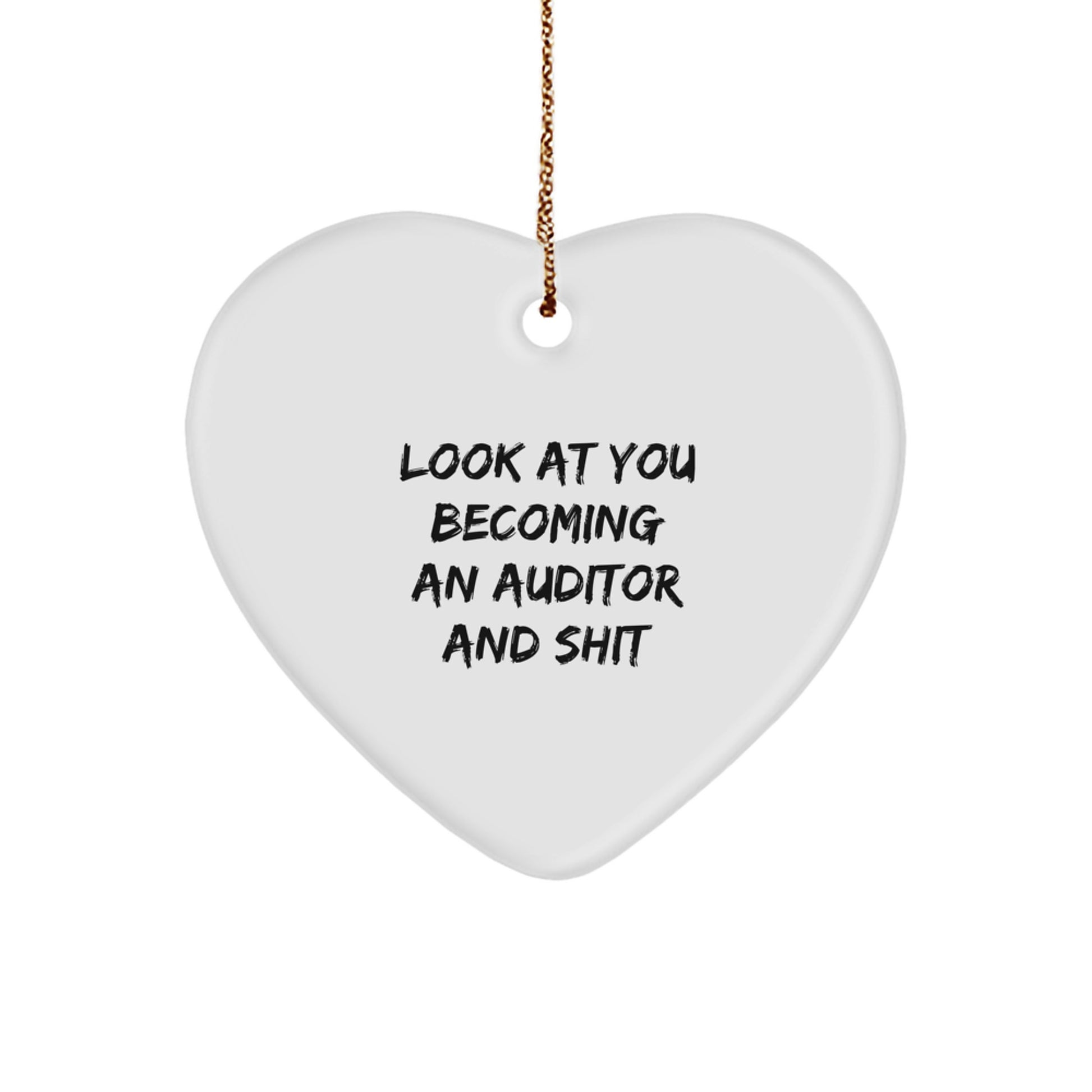 Funny Auditor Gifts from Friends for Auditor Christmas Unique Ornaments - Image 1