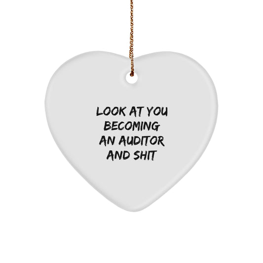 Funny Auditor Gifts from Friends for Auditor Christmas Unique Ornaments - Image 1