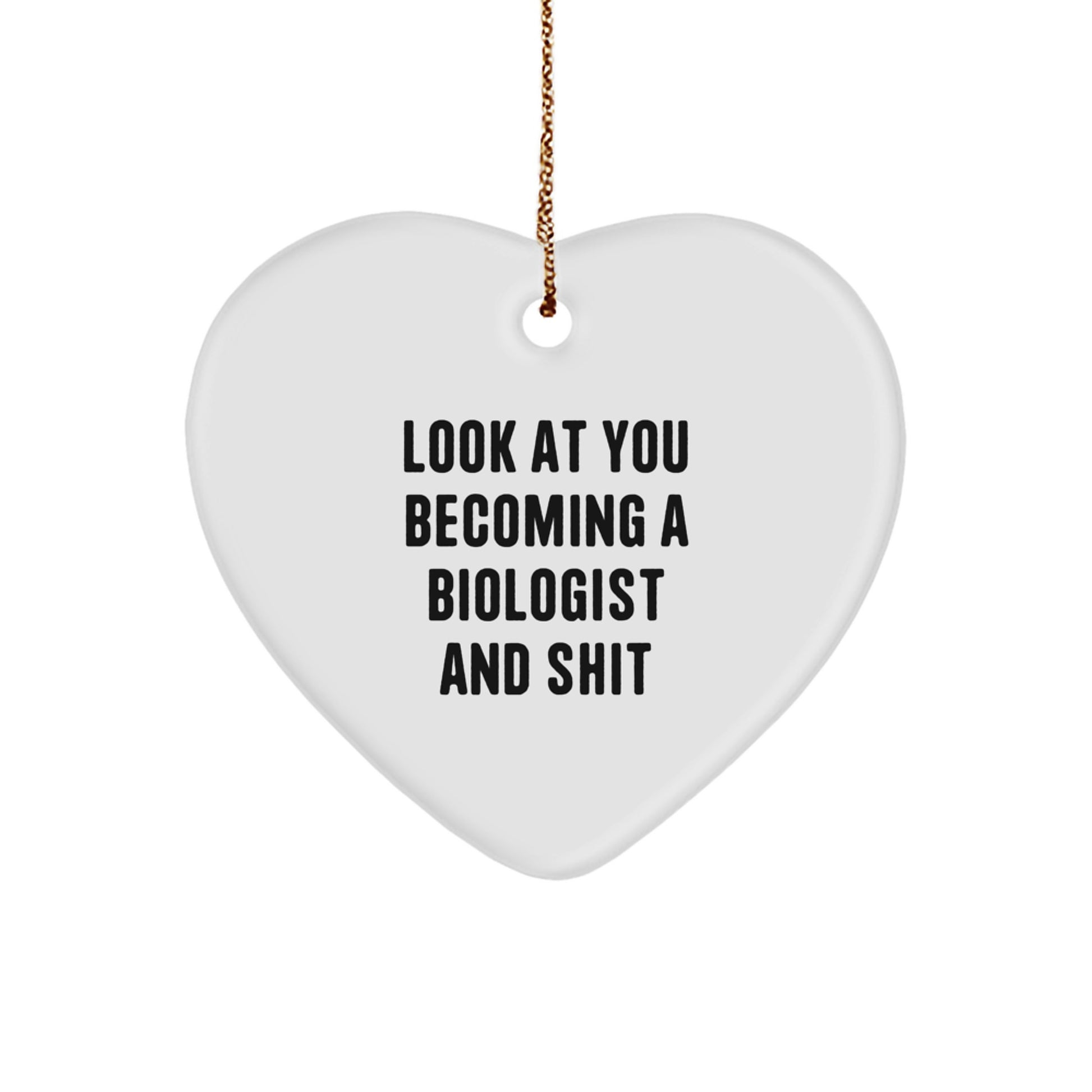 Funny Biologist Heart Ornament Gifts from Men to Biologists, Christmas Unique Gifts for Biologist Friends, Heart Shaped MDF Decoration - Image 1