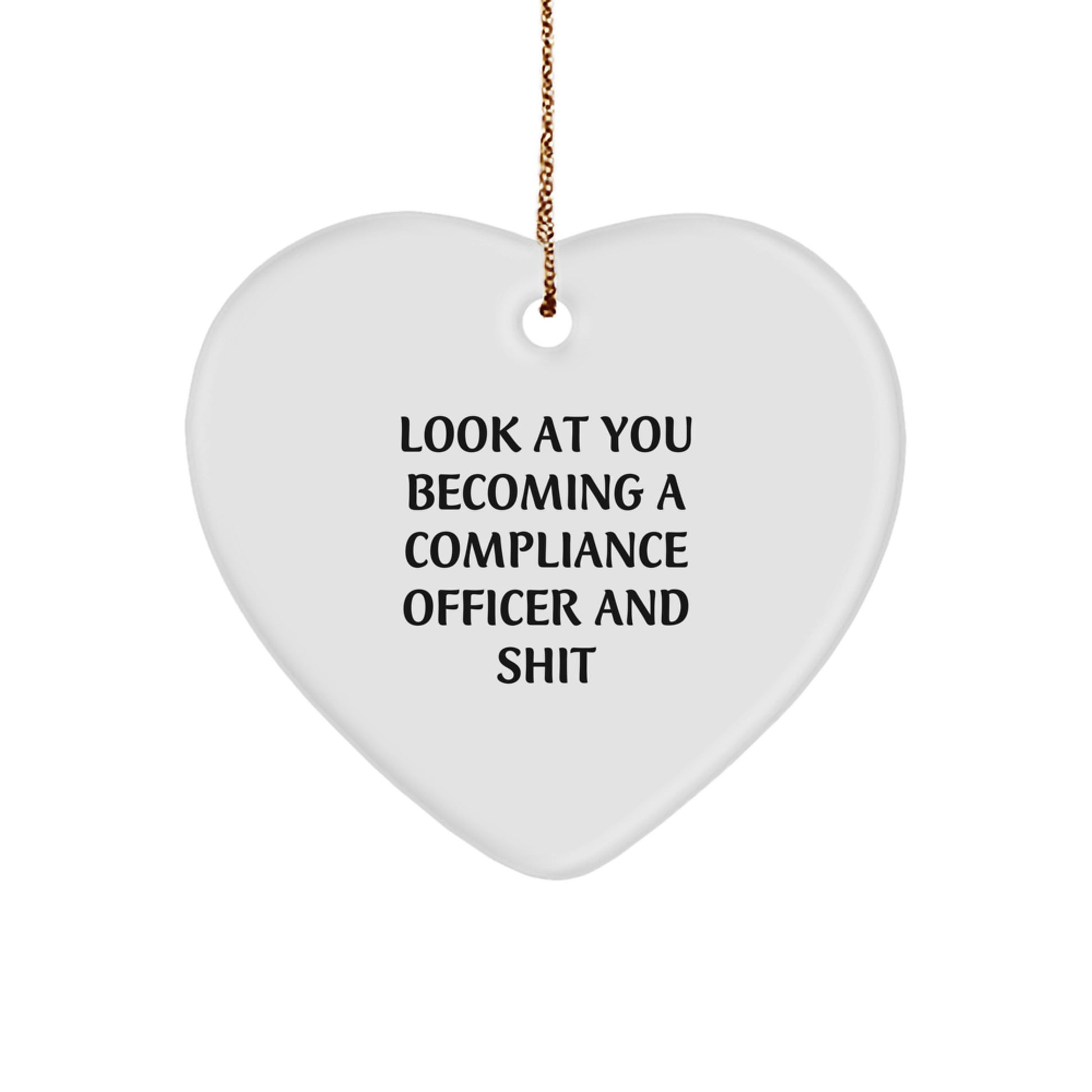 Funny Compliance Officer Heart Ornament Gifts from Coworkers to Compliance Officers for Christmas Unique Presents - Image 1