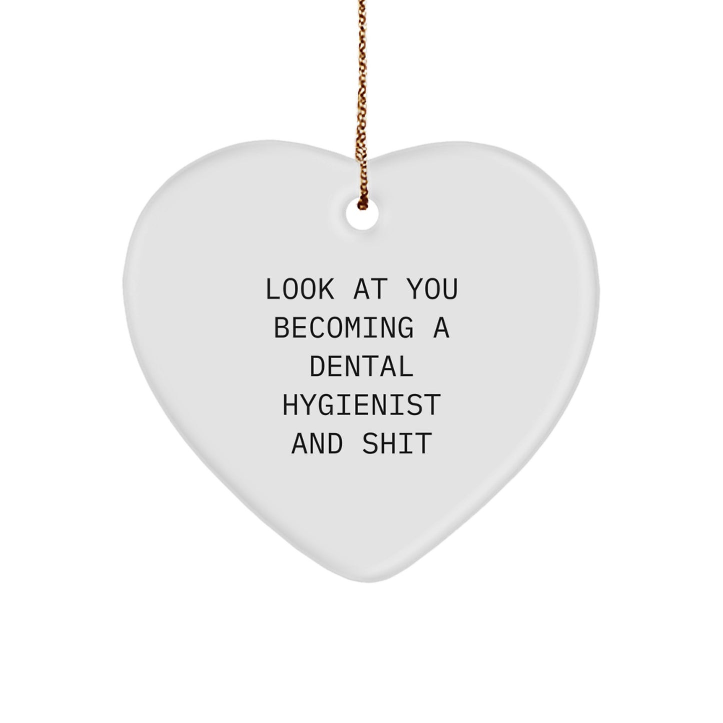 Funny Look At You Becoming A Dental Hygienist Gifts for Christmas, Heart Ornament from Family, Dental Hygienist Unique Gifts with Gold Cord, Inspirational Dental Hygienist Christmas Ornament - Image 1