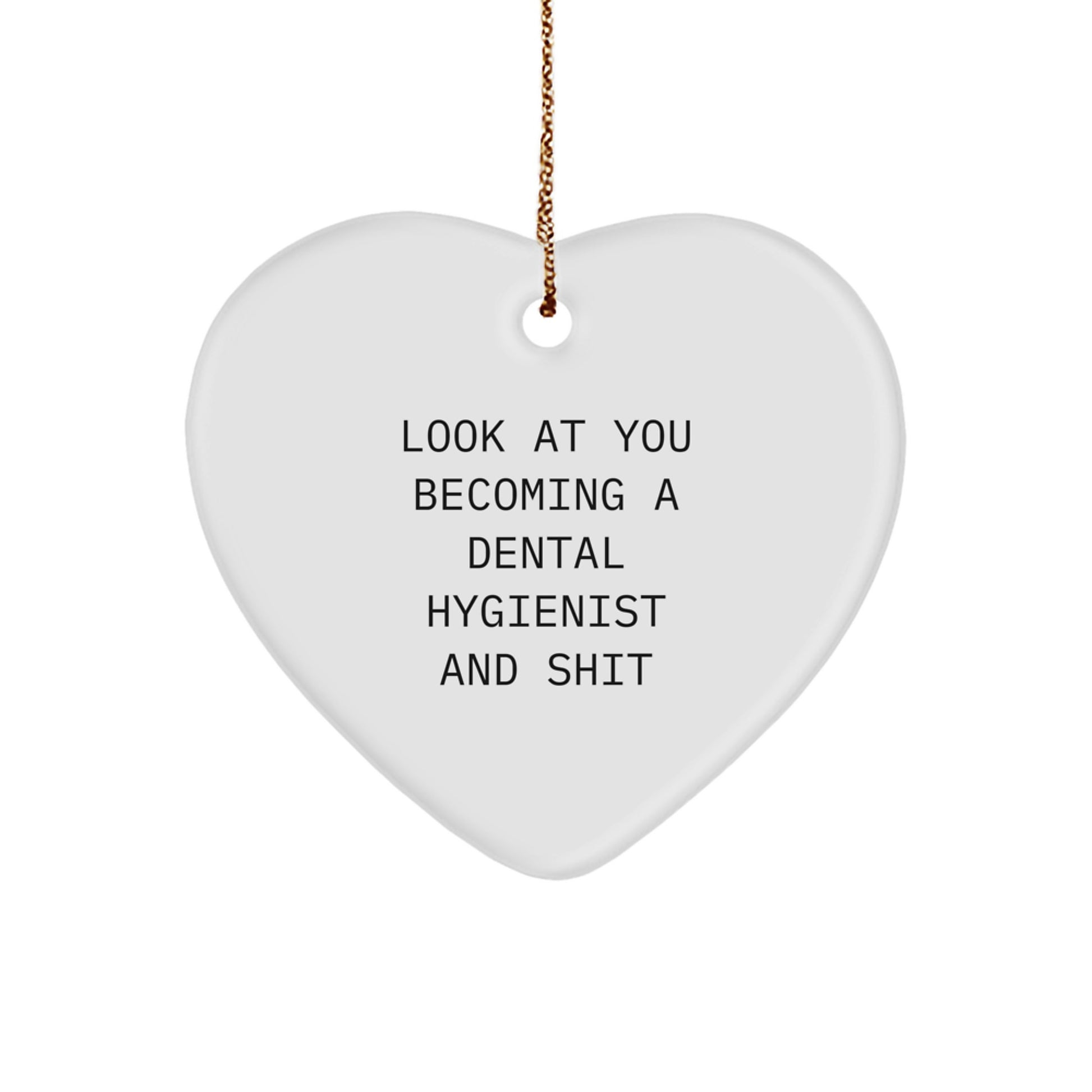 Funny Look At You Becoming A Dental Hygienist Gifts for Christmas, Heart Ornament from Family, Dental Hygienist Unique Gifts with Gold Cord, Inspirational Dental Hygienist Christmas Ornament - Image 1