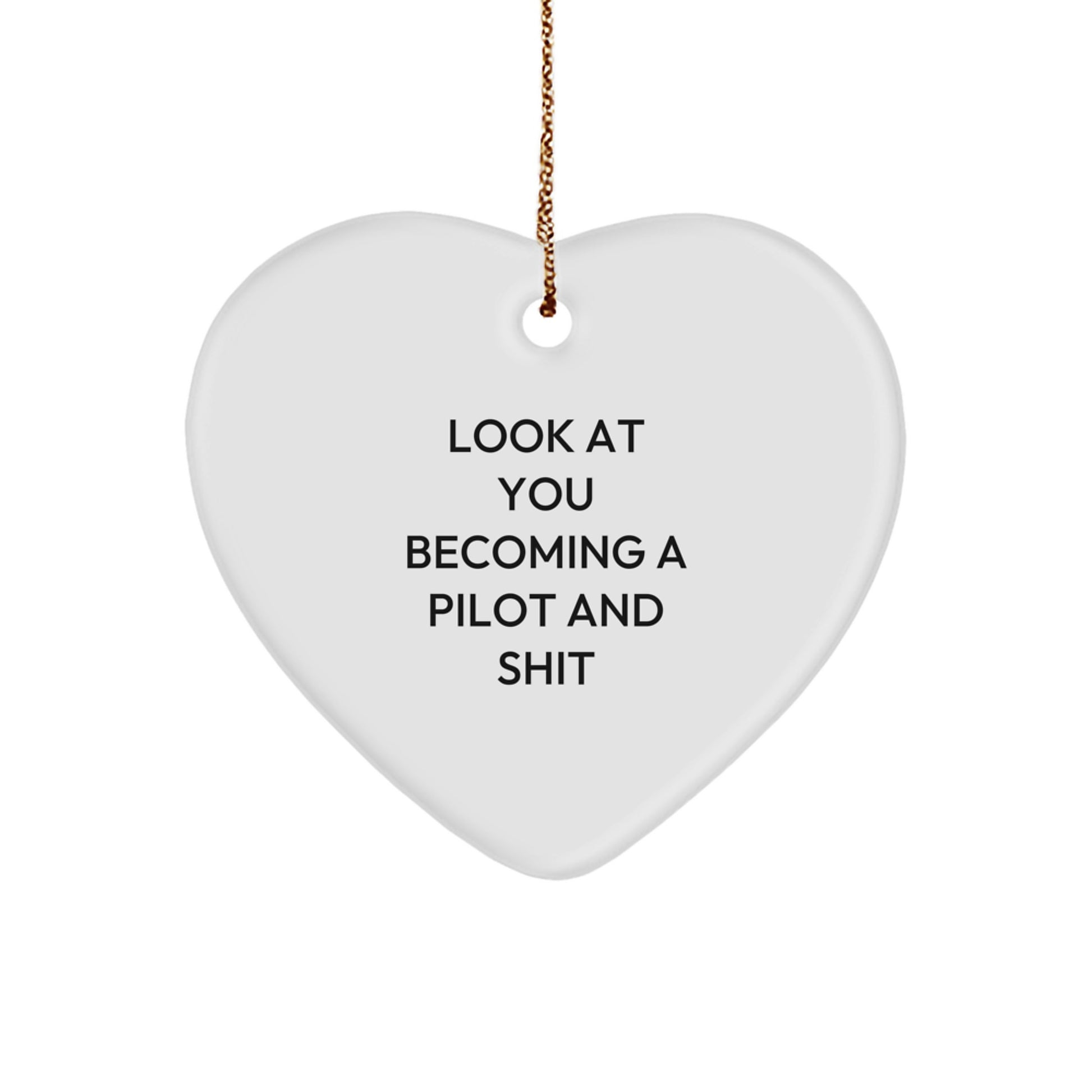 Funny Pilot Heart Ornament Gifts from Men to Friends Pilot Friends - Image 1