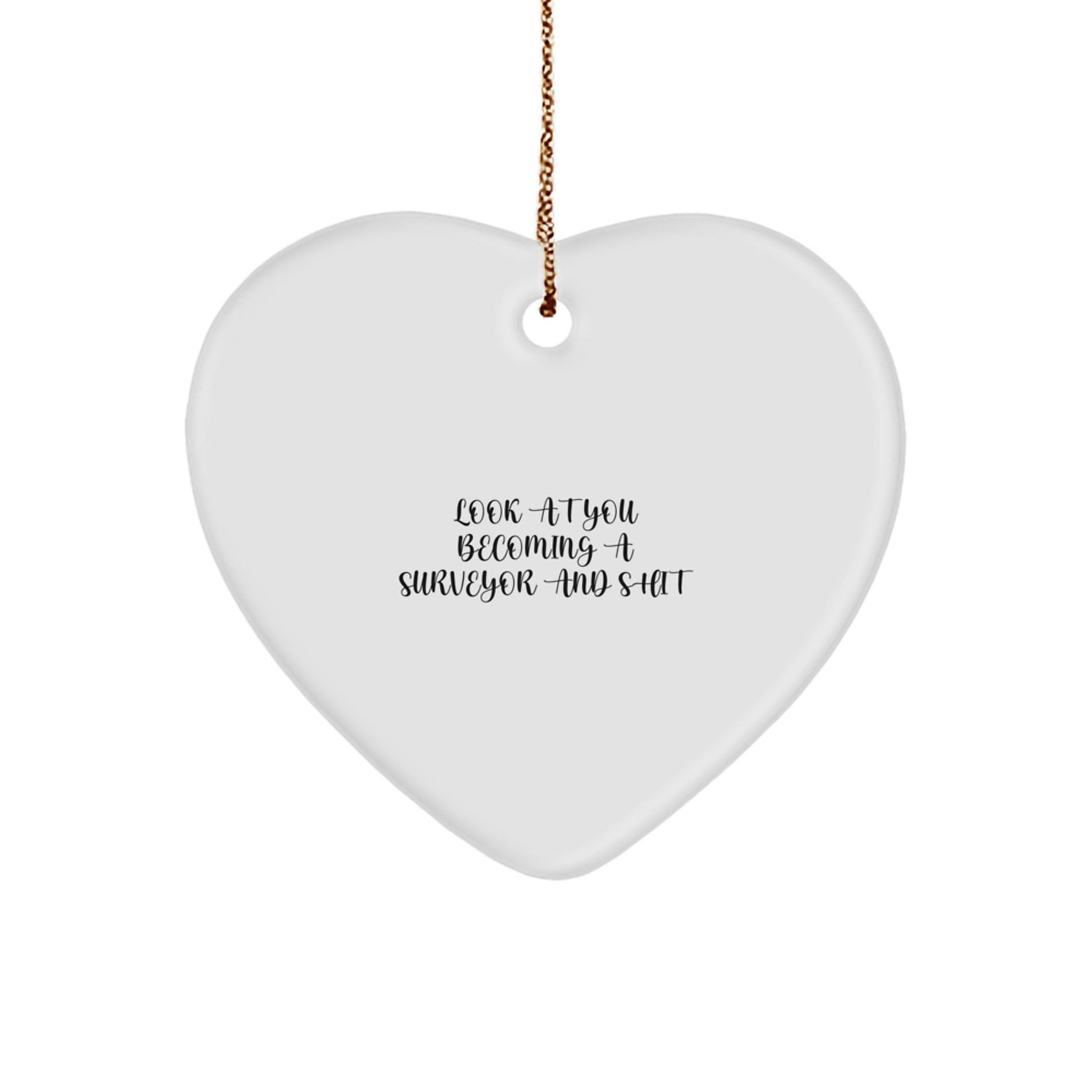 Funny Surveyor Gifts for Him - 'Look At You Becoming A Surveyor And Shit' Heart Ornament for Men, Unique Christmas Unique Gifts from Friends to Surveyor - Image 1