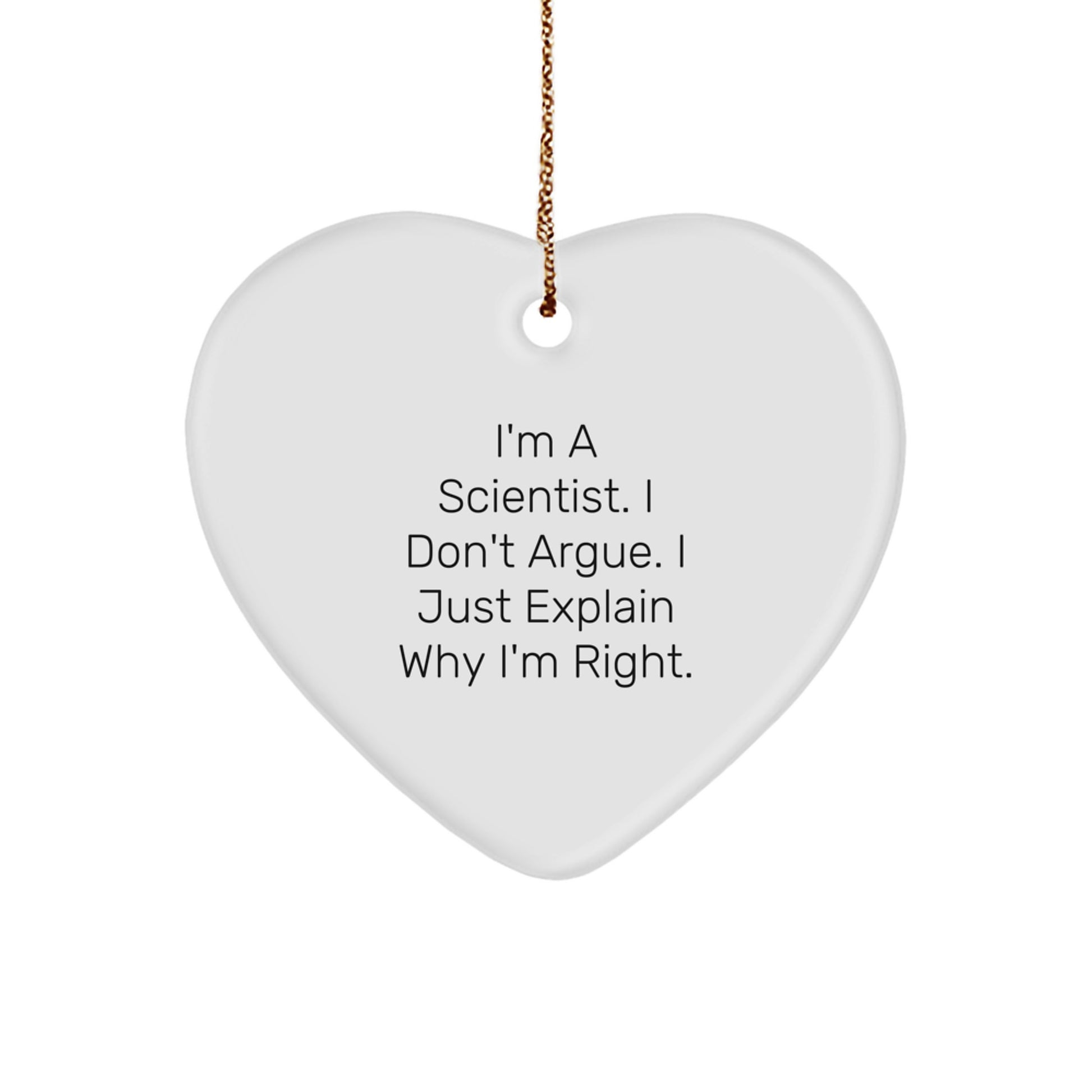 Funny Scientist Heart Ornament Gifts from Men to Friends for Christmas Unique Presents - Image 1