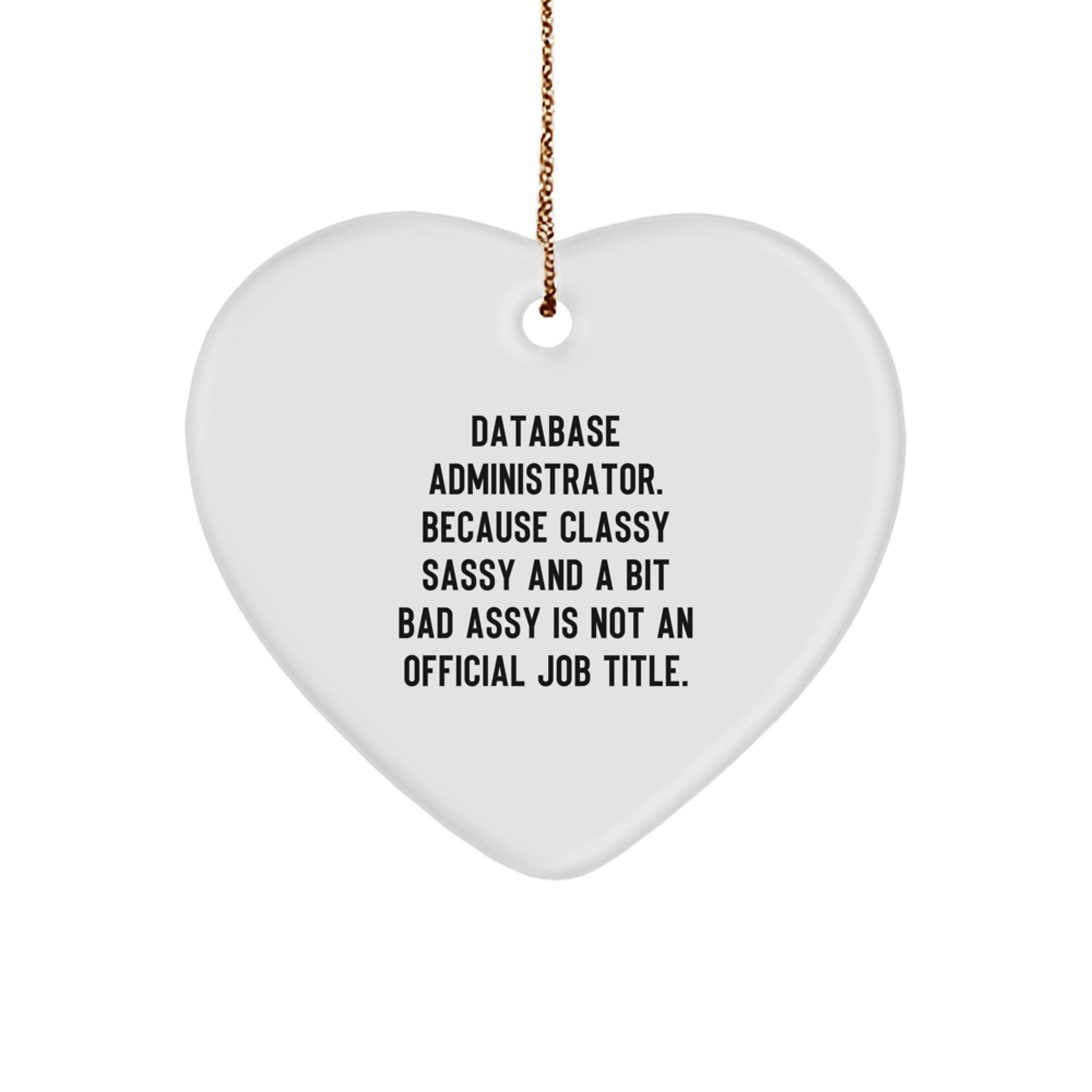 Database Administrator Gifts Funny Heart Ornament for Christmas Unique Gifts from Friends Coworkers Family Members - Image 1