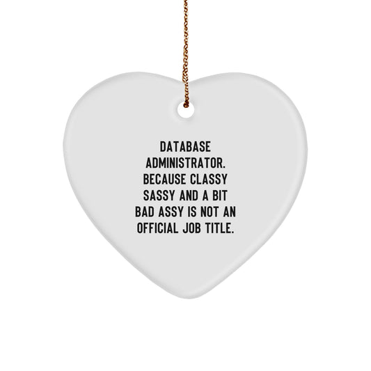 Database Administrator Gifts Funny Heart Ornament for Christmas Unique Gifts from Friends Coworkers Family Members - Image 1