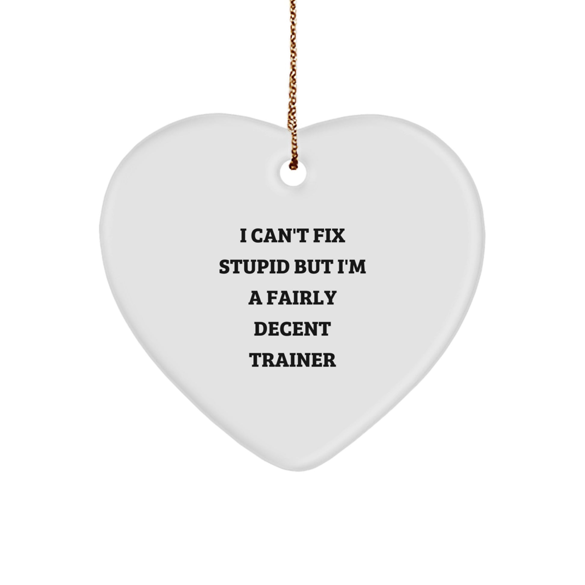 Funny Trainer Christmas Unique Gifts from Friends, Trainer Heart Ornament with Quote 'I Can't Fix Stupid, But I'm A Fairly Decent Trainer' for Men, Women, Family - Image 1