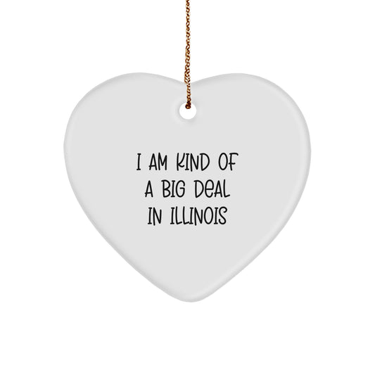 Funny Illinois Heart Ornament, I Am Kind Of A Prime Selection In Illinois Gifts for Illinois Men Women Friends Family - Image 1