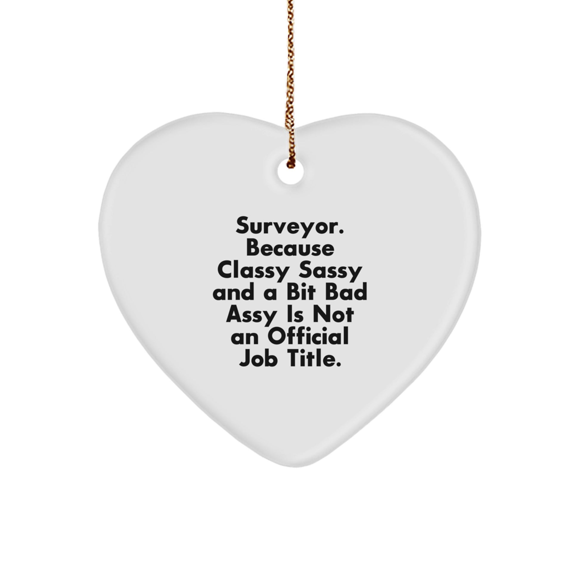 Funny Surveyor Gifts, Heart Ornament for Surveyor Friends, Christmas Unique Gifts from Men, Surveyor Heart Ornament for Surveyor Lover - Image 1