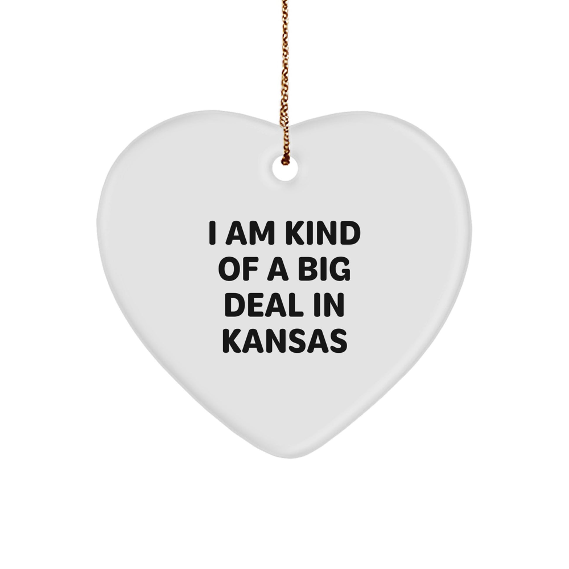Kansas Heart Ornament I Am Kind Of A Prime Selection Gift for Men or Women Friends and Family Christmas Unique Gifts from - Image 1