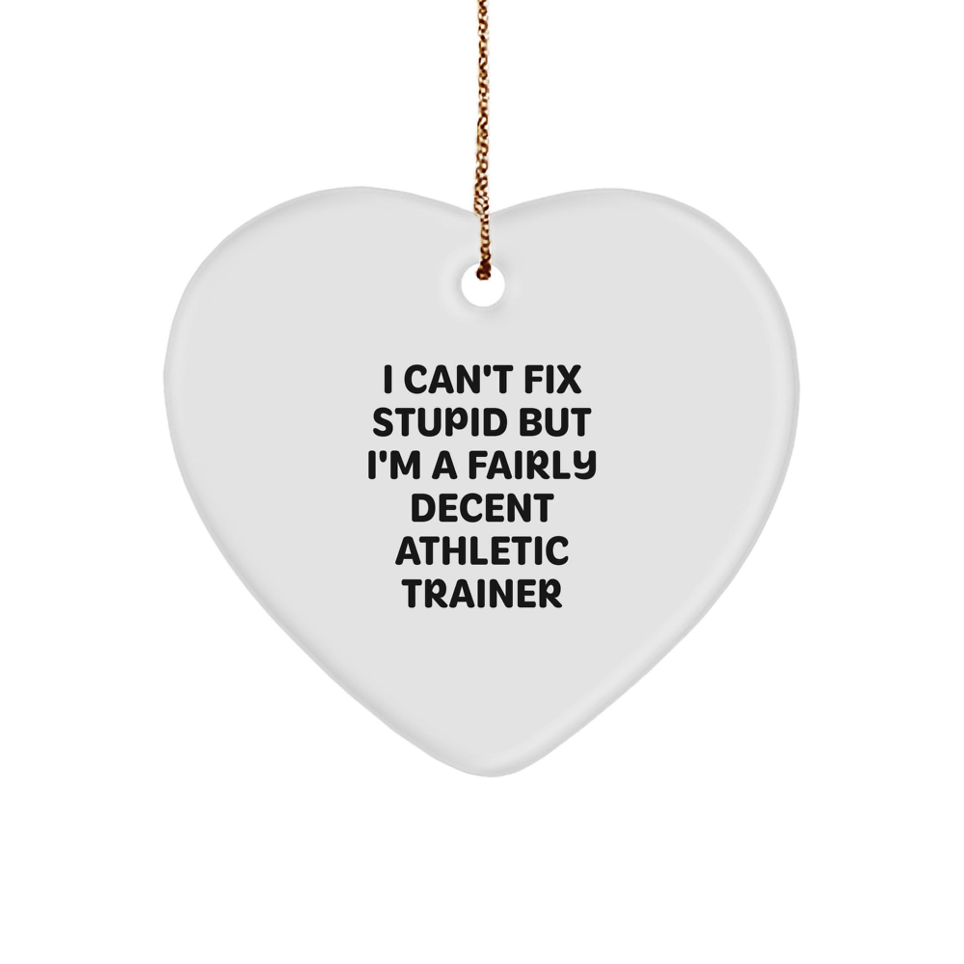 Funny Gifts from Friends to Athletic Trainers - Heart Ornament with 'I Can't Fix Stupid' Humor - Christmas Unique Gifts for Men and Women - Image 1