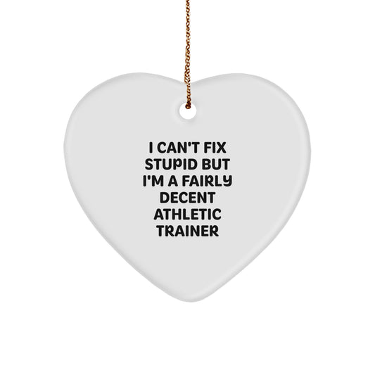 Funny Gifts from Friends to Athletic Trainers - Heart Ornament with 'I Can't Fix Stupid' Humor - Christmas Unique Gifts for Men and Women - Image 1