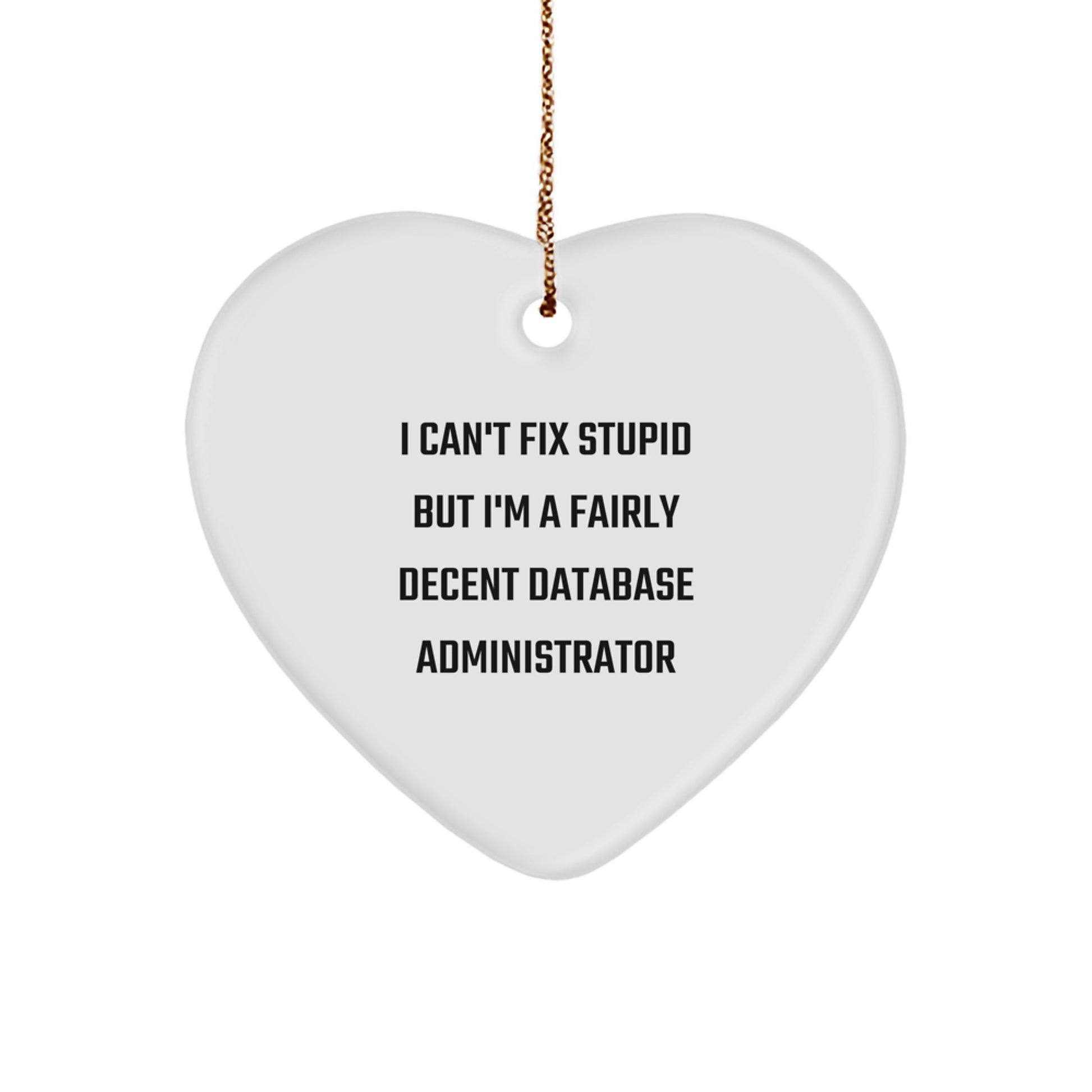 Funny Database Administrator Heart Ornament Gifts from Men to Coworkers or Friends who say I Can't Fix Stupid But I'm A Fairly Decent Database Administrator - Image 1