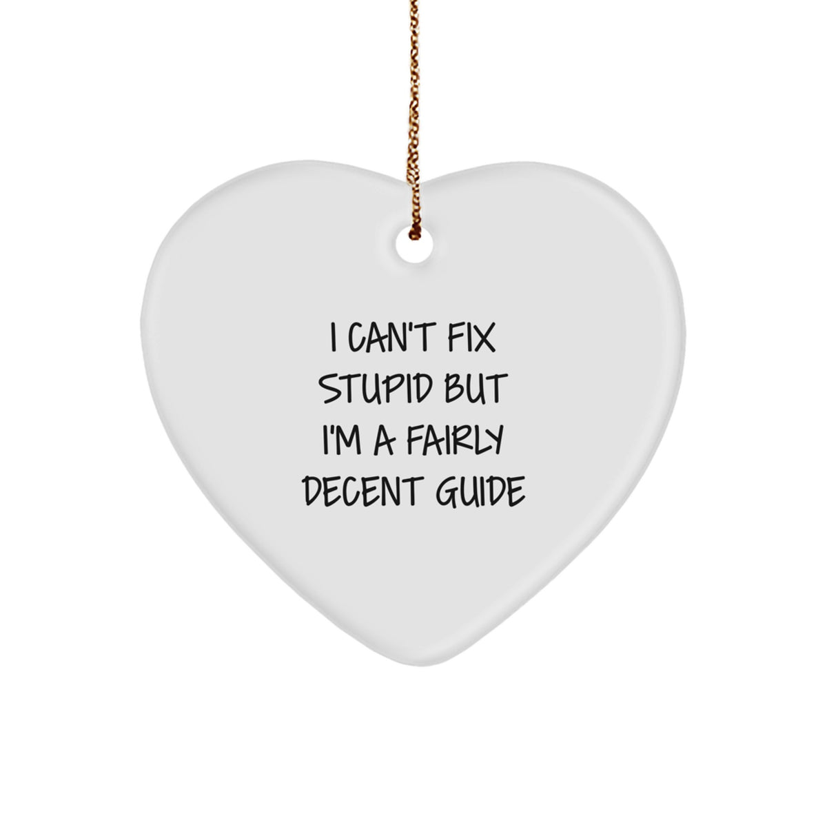 Guide for Him Keepsake Gift Can't Fix Stupid But I'm Decent Heart - Image 1