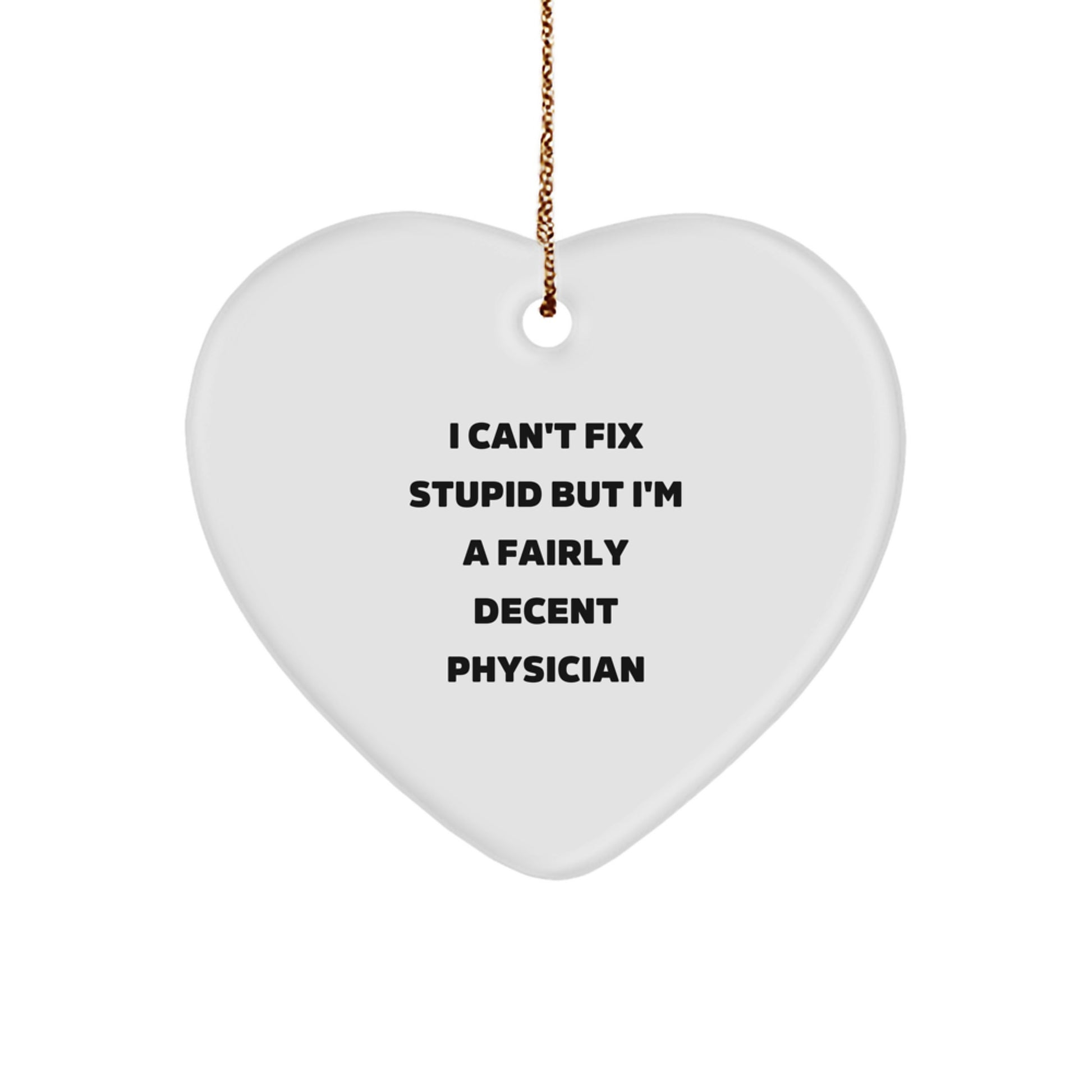 Christmas Unique Gift Physician Ornament for Her Present I Can't Fix Stupid - Image 1
