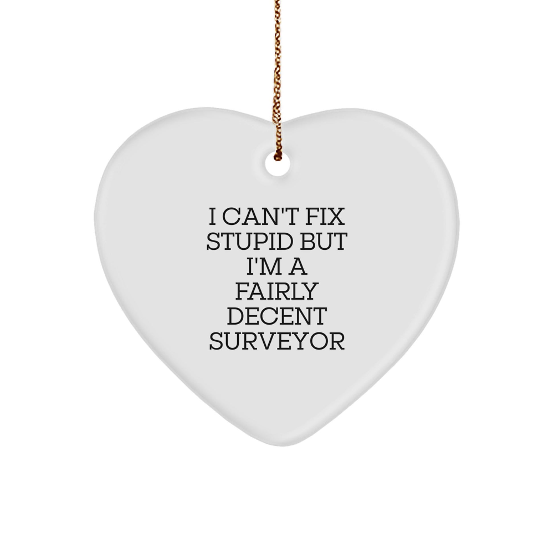 Surveyor Heart Ornament for Him Christmas Unique Gift - Can't Fix Stupid - Image 1