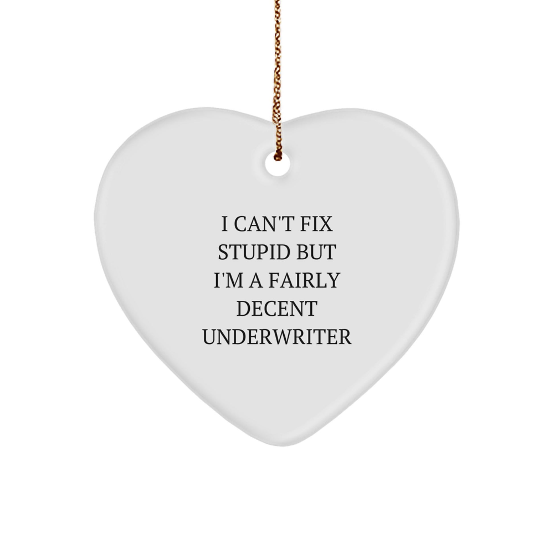 Underwriter Heart Ornament for Him Christmas Unique Gift I Can't Fix Stupid - Image 1