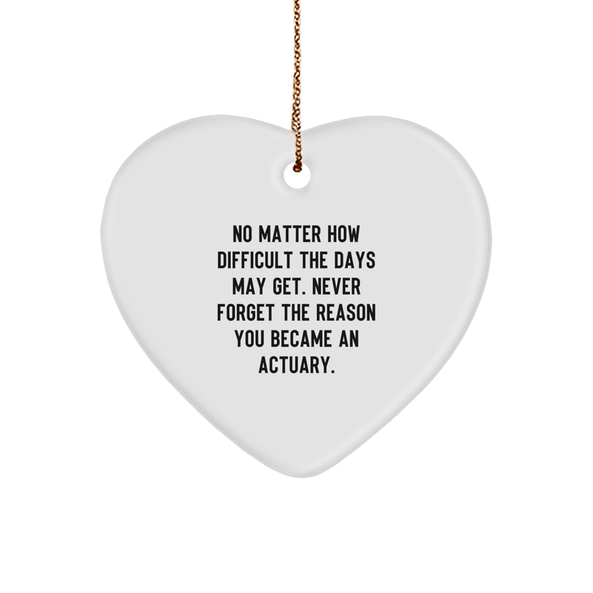 Actuary Christmas Ornament Keepsake for Him Never Forget the Reason Gift - Image 1