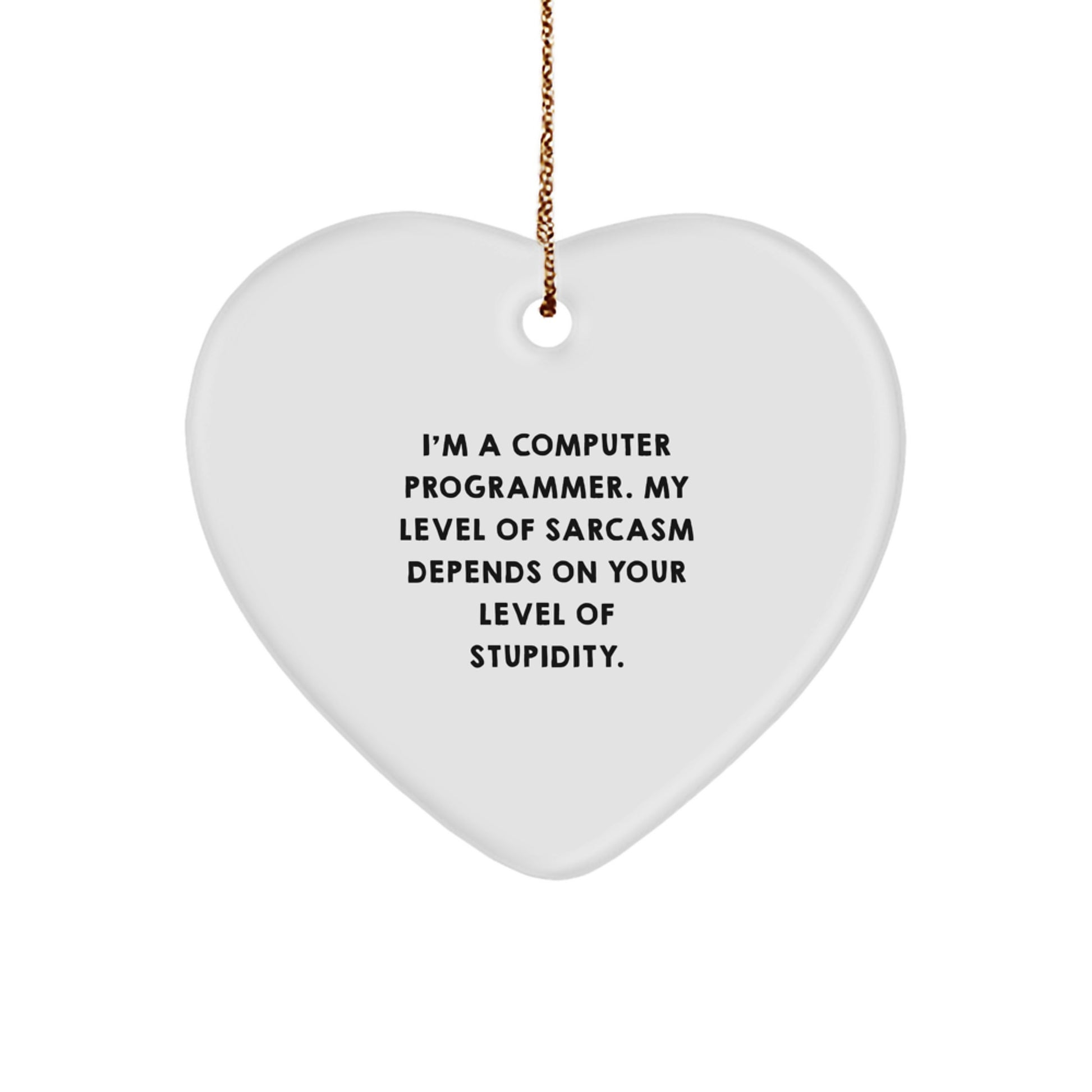 Funny Computer Programmer Gifts from Men to Colleagues, Computer Programmer Heart Ornament with Sarcasm Quote for Christmas Unique Gifts - Image 1