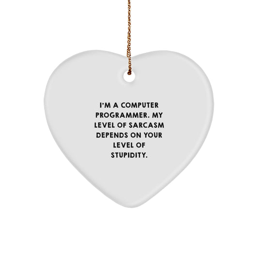 Funny Computer Programmer Gifts from Men to Colleagues, Computer Programmer Heart Ornament with Sarcasm Quote for Christmas Unique Gifts - Image 1