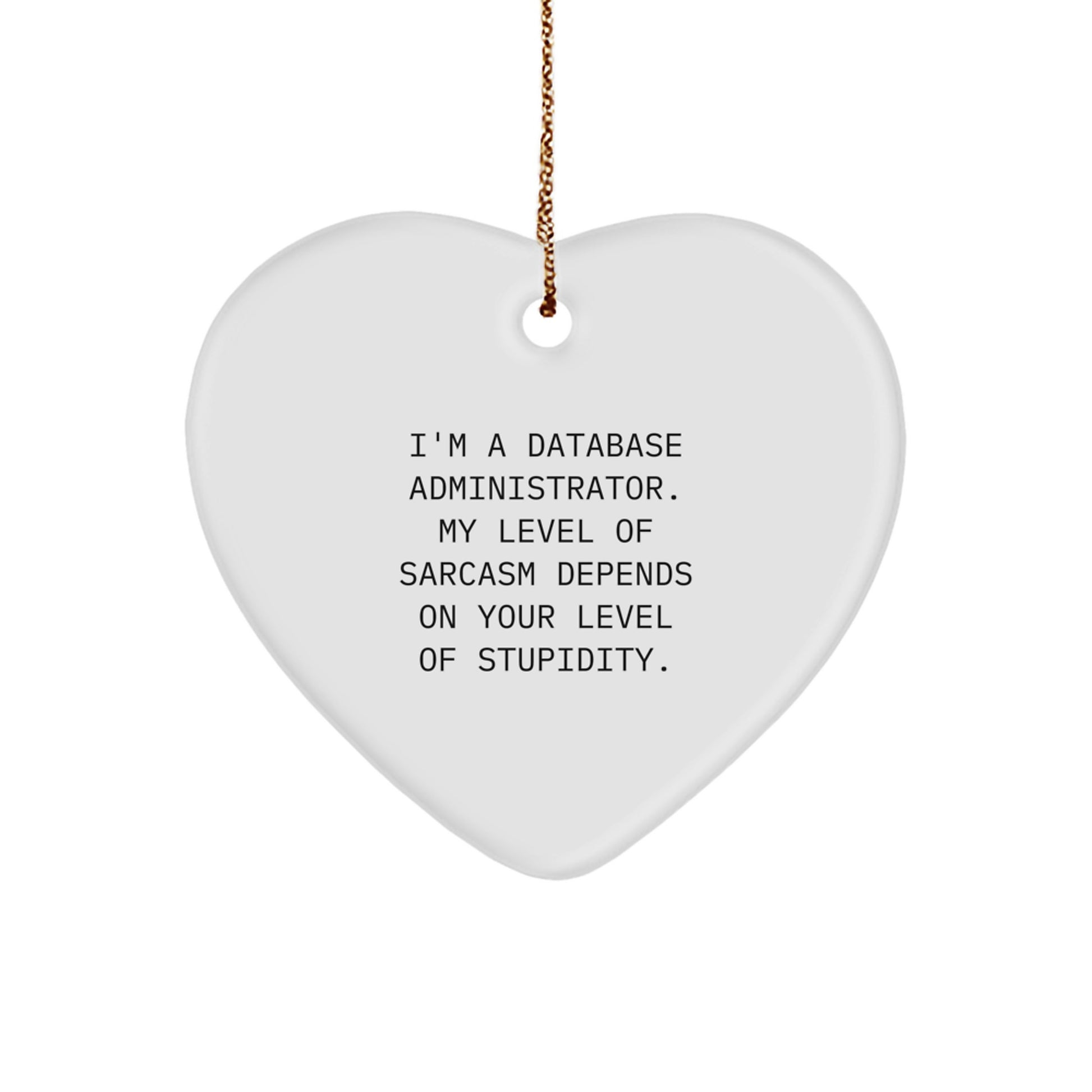 Funny Database Administrator Gifts, Heart Ornament, 'I'm A Database Administrator...' Sarcasm Quote, Christmas Unique Gifts from Men to Coworkers for Database Administrator Friends - Image 1