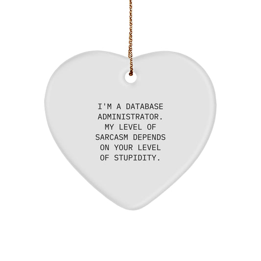 Funny Database Administrator Gifts, Heart Ornament, 'I'm A Database Administrator...' Sarcasm Quote, Christmas Unique Gifts from Men to Coworkers for Database Administrator Friends - Image 1