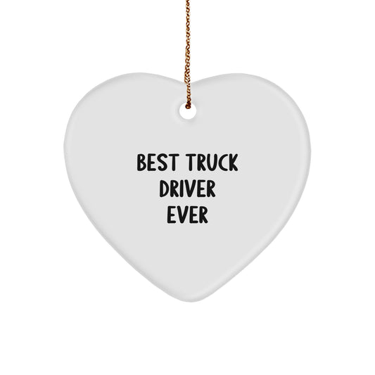 Funny Truck Driver Gifts from Friends for Best Truck Driver Ever Christmas Unique Gifts - Image 1