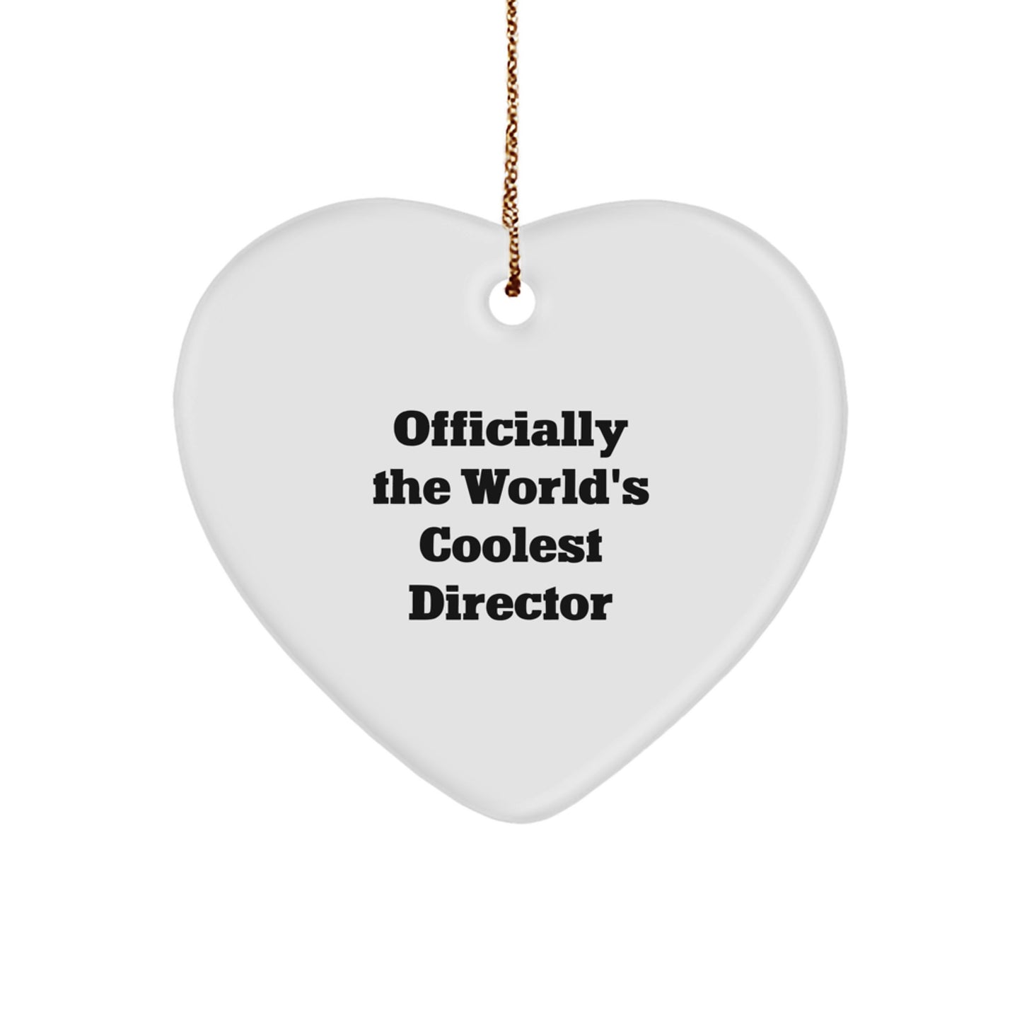 Director Christmas Ornament for Him Gift World's Coolest Director - Image 1