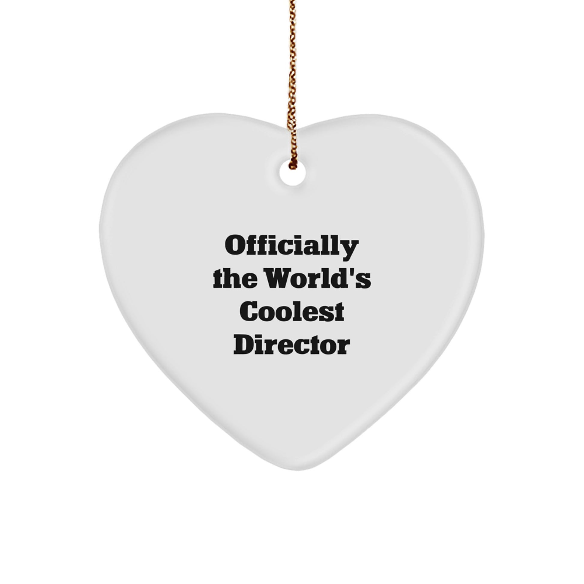 Director Christmas Ornament for Him Gift World's Coolest Director - Image 1