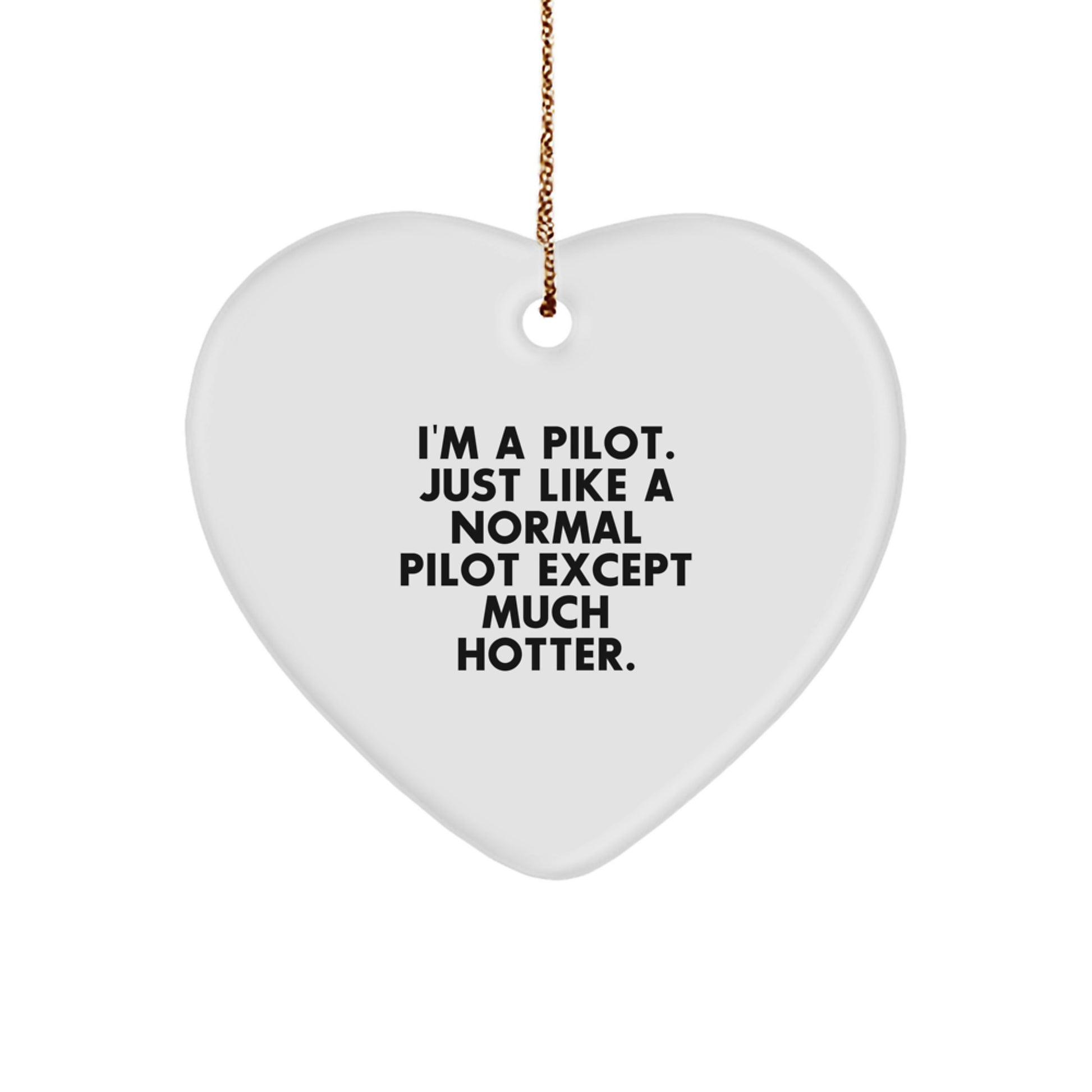 Funny Pilot Gifts for Men - Heart Ornament I'm A Pilot. Just Like A Normal Pilot Except Much Hotter. - Christmas Unique Gift for Friends - Image 1