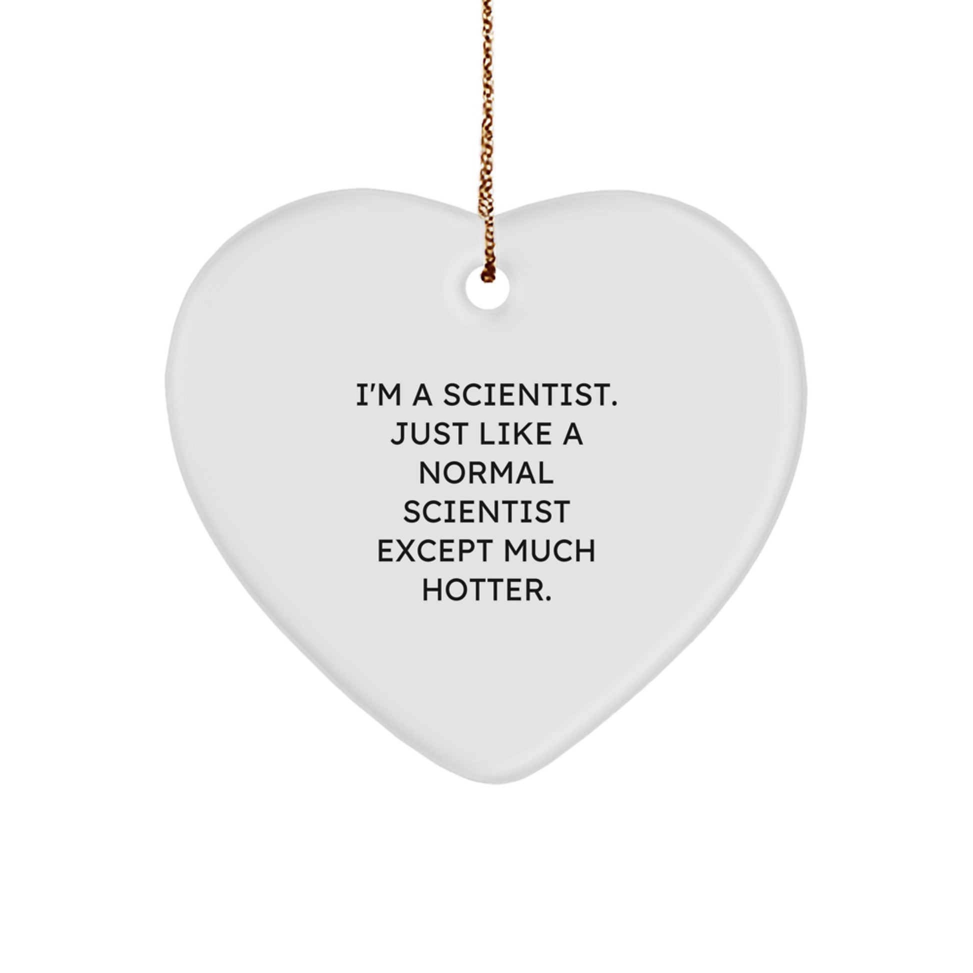 Funny Scientist Gifts from Men to Friends - I'm A Scientist Heart Ornament for Christmas Unique Gifts - Image 1