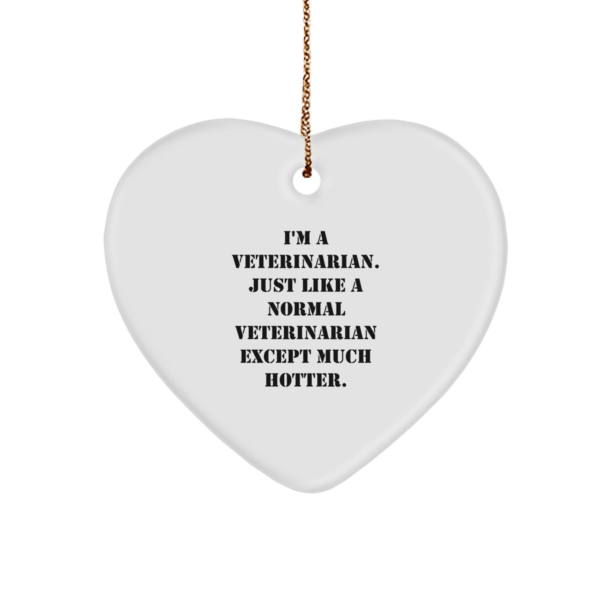 Funny Veterinarian Heart Ornament Gifts from Friends to Veterinarian Coworkers, Inspirational Christmas Unique Gifts - Image 1