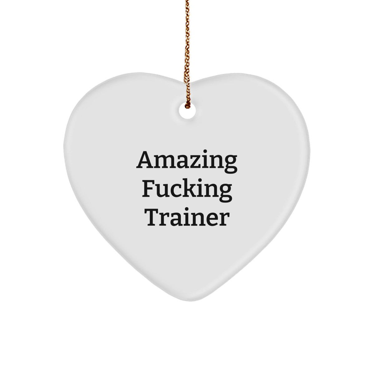Trainer Heart Christmas Ornament Amazing Trainer Gift for Family - Image 1