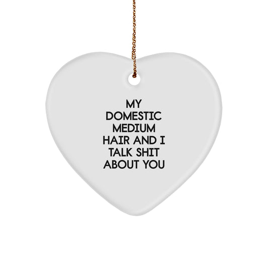 Funny Domestic Medium Hair Cat Quote Heart Ornament Gifts from Friends for Christmas - Image 1