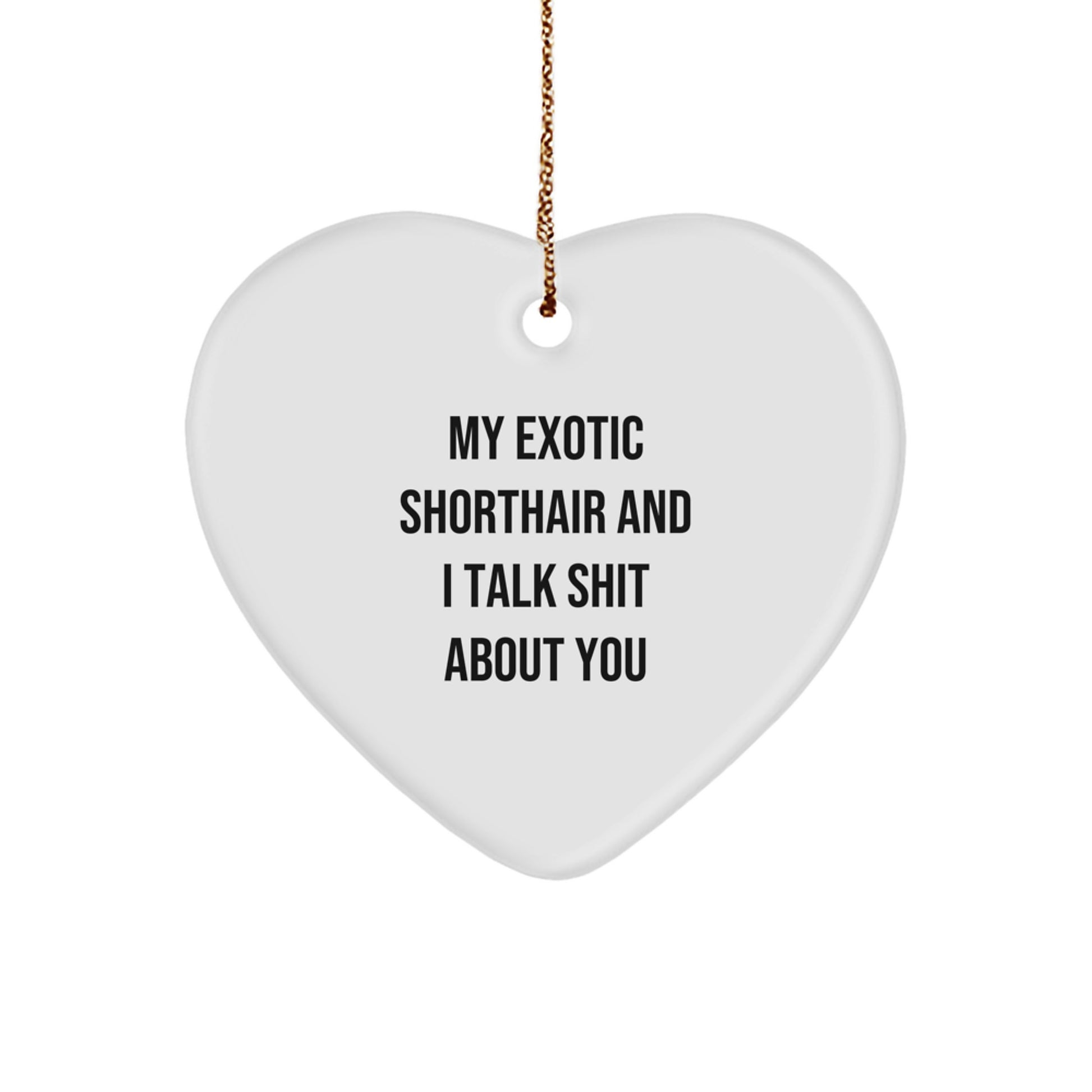 Funny Exotic Shorthair Cat Gifts from Men for Christmas Unique Gifts - Exotic Shorthair Cat Heart Ornament with 'My Exotic Shorthair And I Talk Shit About You' Quote - Image 1