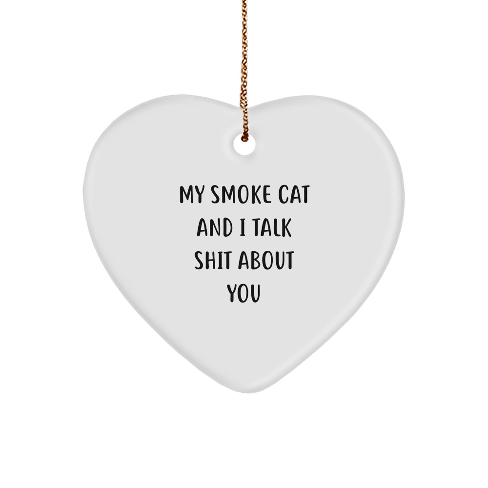 Funny Smoke Cat Gifts from Men to Friends on Christmas Unique Ornament - My Smoke Cat And I Talk Shit About You - Image 1