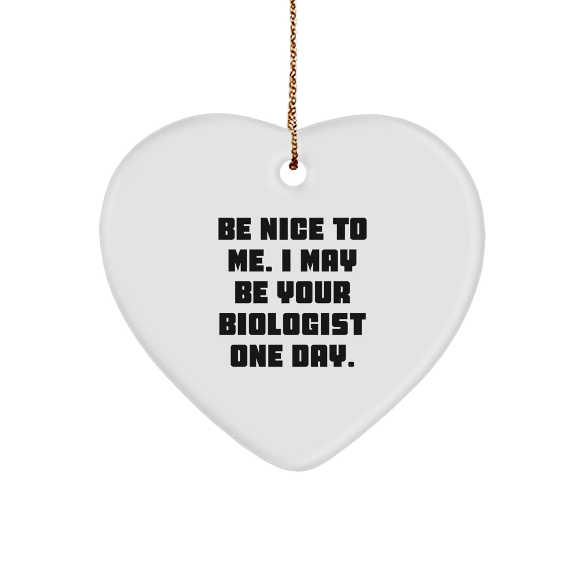 Funny Biologist Gifts for Men from Friends, Heart Ornament with 'Be Nice To Me. I May Be Your Biologist One Day.' Quote, Christmas Unique Gift - Image 1
