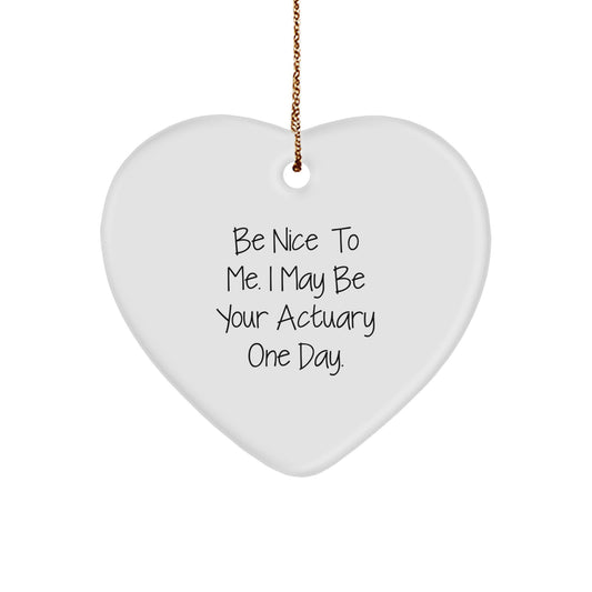 Funny Actuary Gifts for Men, Women, or Coworkers - Heart Ornament with Be Nice To Me. I May Be Your Actuary One Day. Quote - Unique Christmas Memorable Presents - Image 1