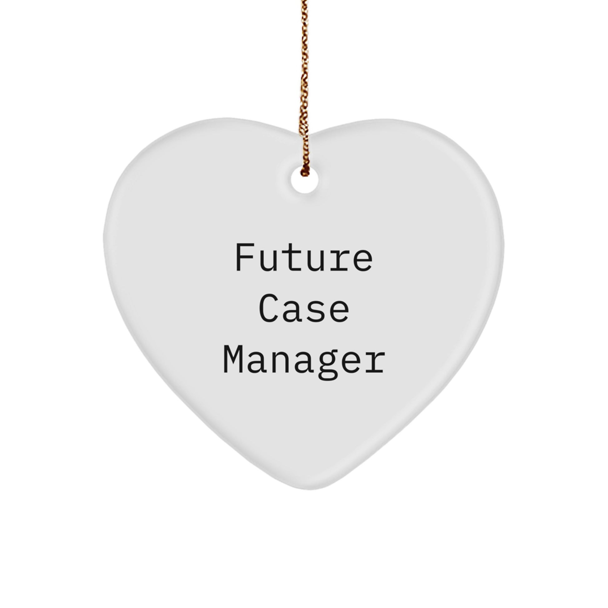 Funny Inspirational Gifts from Friends, Funny Heart Ornament for Future Case Manager, Unique Christmas Unique Gifts for Case Managers - Image 1