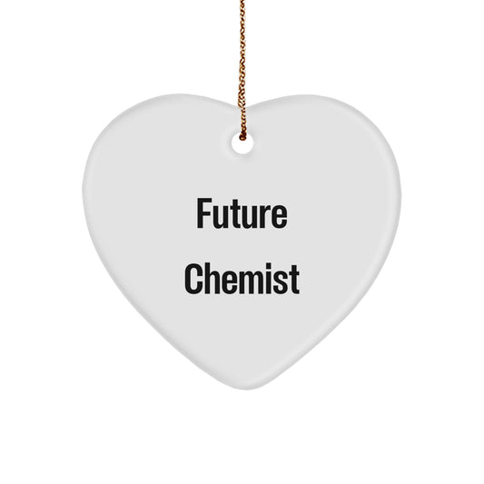 Funny Quote Chemist Heart Ornament Gifts from Family to Future Chemist at Christmas - Image 1