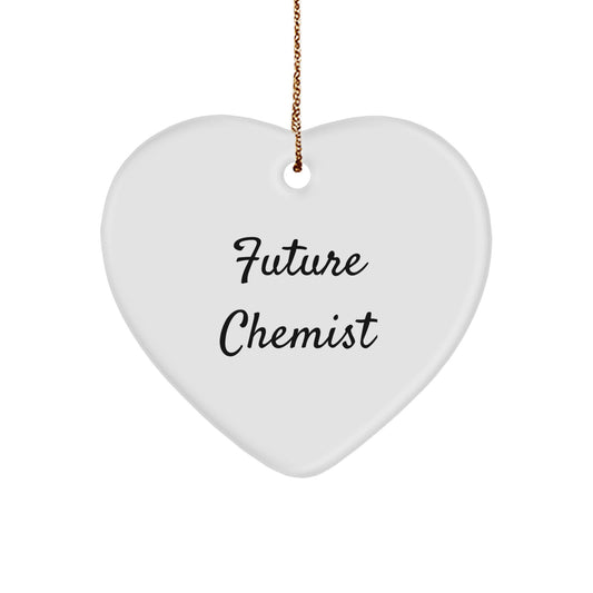 Funny Quote Chemist Heart Ornaments Gifts from Family for Future Chemist Christmas Unique Gifts - Image 1