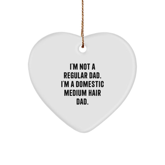 Funny Domestic Medium Hair Cat Gifts for Dad, Heart Ornament with I'm Not A Regular Dad Quote, Unique Christmas Decorations from Men - Image 1
