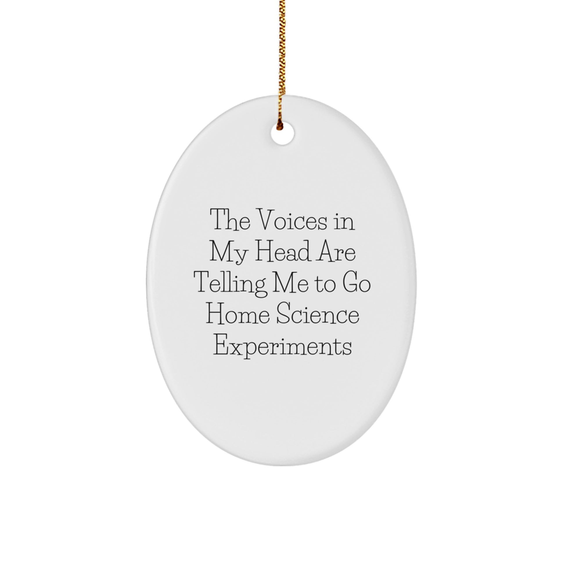 Funny Home Science Experiments Gift - Inspirational Quote Oval Ornament for Men, Women, or Friends, Gifts from Family, Perfect for Home Science Experiments Enthusiasts, Unique Christmas Unique Gifts - Image 1
