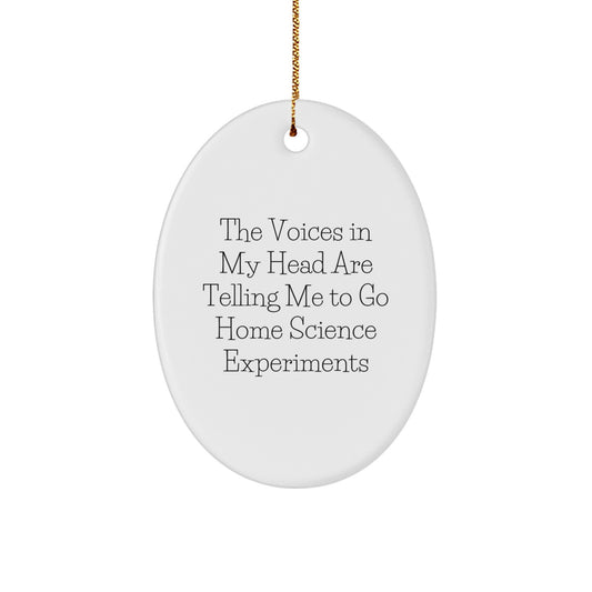 Funny Home Science Experiments Gift - Inspirational Quote Oval Ornament for Men, Women, or Friends, Gifts from Family, Perfect for Home Science Experiments Enthusiasts, Unique Christmas Unique Gifts - Image 1