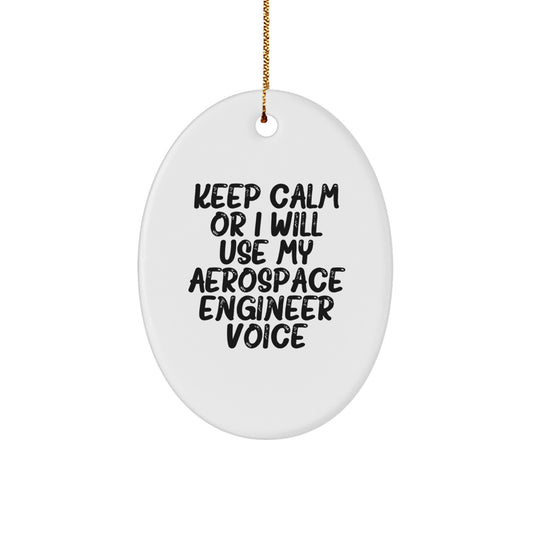 Funny Aerospace Engineer Oval Ornament Gifts for Men, Women, Friends, Coworkers, Family, Christmas Unique Gifts from Men, Women, Friends, Coworkers, Family - Image 1