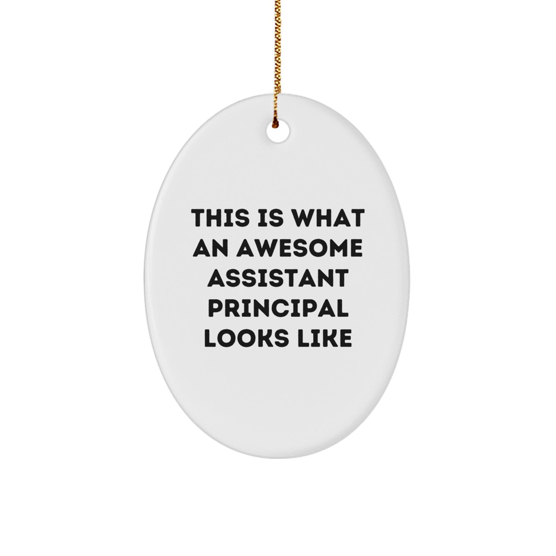 Funny Assistant Principal Gifts for Him, Oval Ornament from Friends, Christmas Unique Gifts Ideas for Men - Image 1